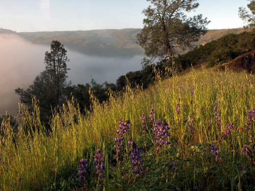 berryessapopecanyon