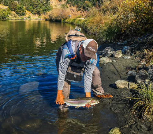 steelheadfishing