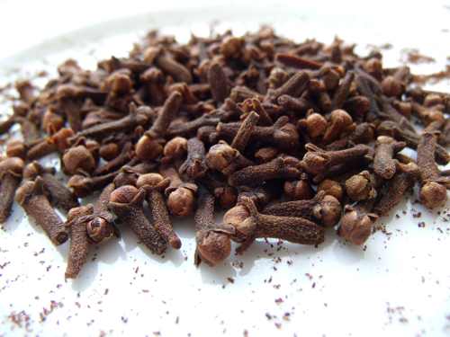 040812cloves