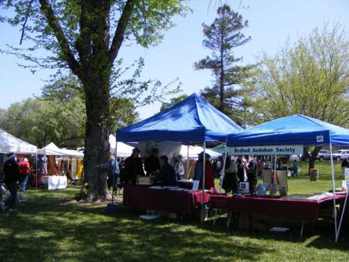 050512heronfestbooths