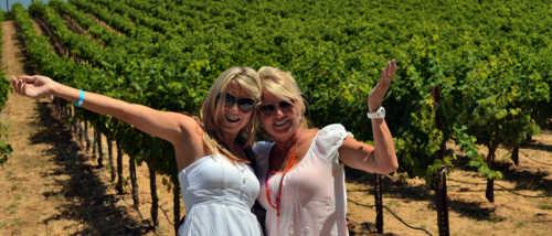 wineadventurevisitors