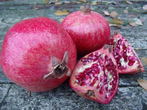 120212pomegranates