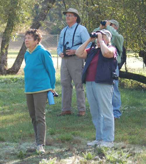 audubonbirdwatchers