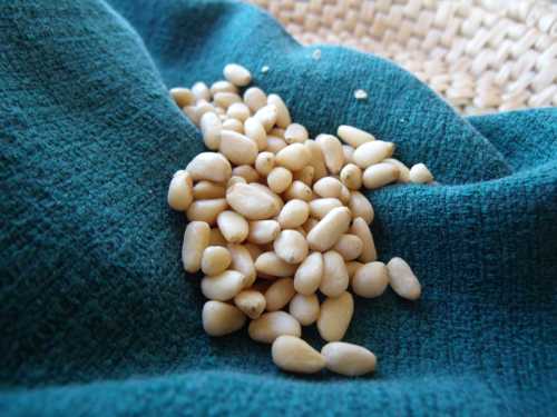 070712pinenuts