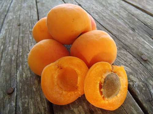 072112apricots