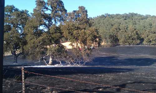 072812westlakefirepasture2