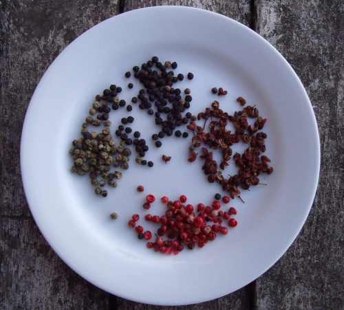 061011veggiegirlpeppercorns