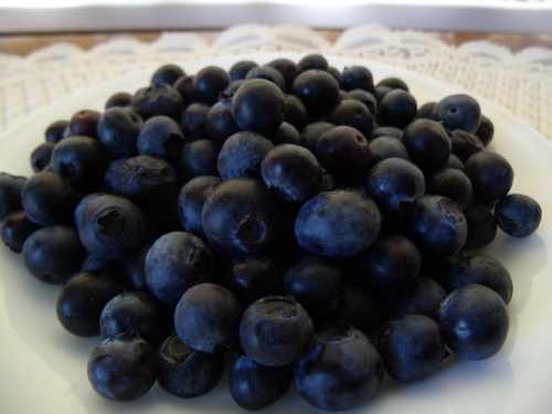 061712veggiegirlblueberries2