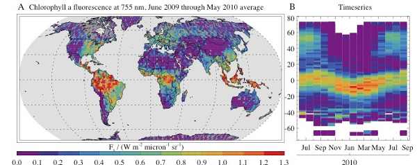 nasachlorophyllmap