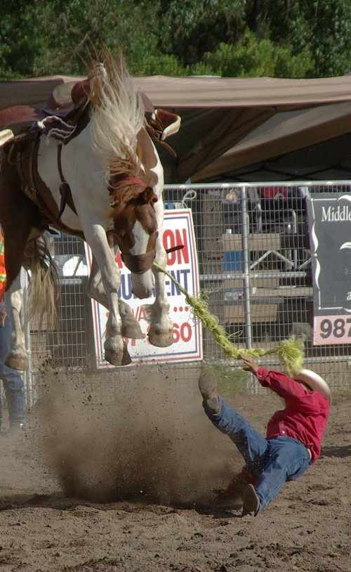 2011mtowndaysbronc