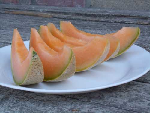 083112veggiegirlcantaloupe