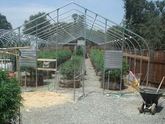 Greenhouse on Kelseyville property.