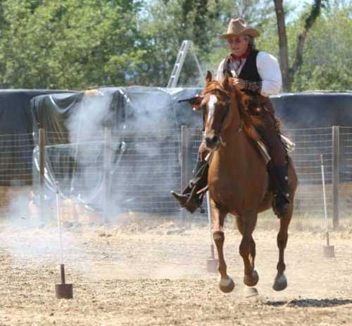 063013fiestahorseshooting