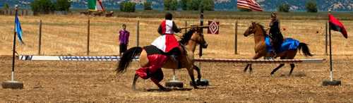 2012horsefiestajoust