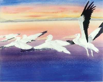 feltonpelicans