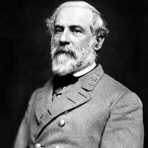 robertelee