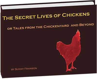 secretlivesofchickens