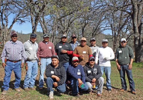 030814pruninggroup