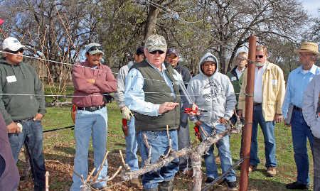 030814pruningrules