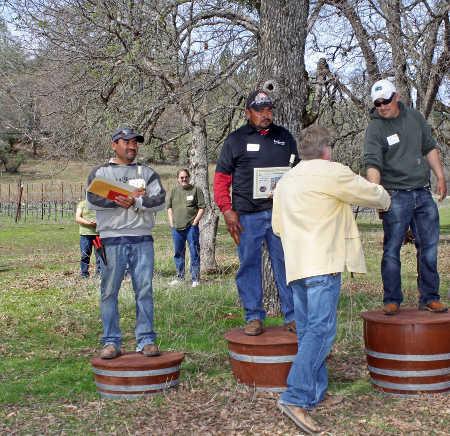 030814pruningwinners