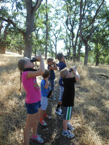 lcltkidsbirdwatching