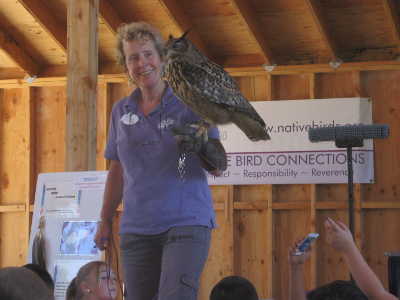 owllady