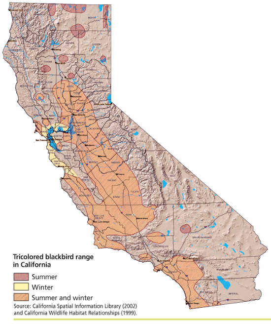 tricoloredblackbirdmap