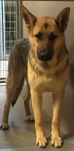 5gsdfemale