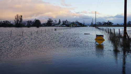 022217lakeshoreniceflood