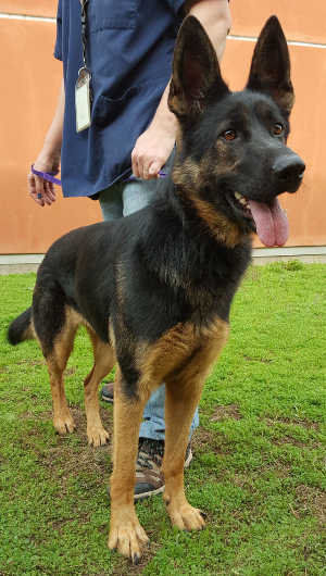 6442gsdfemale