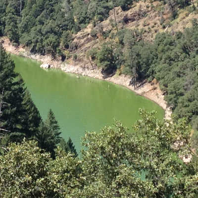 july2016shastalake1