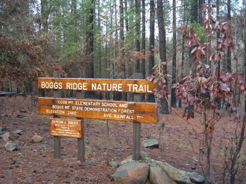 scavoneboggsridgetrail