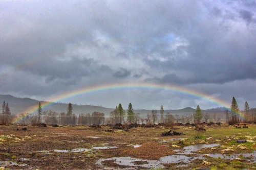 trailsideparkrainbow