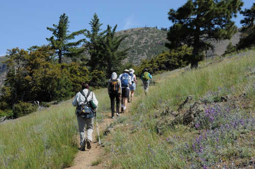 tuleyomesnowmtnhike